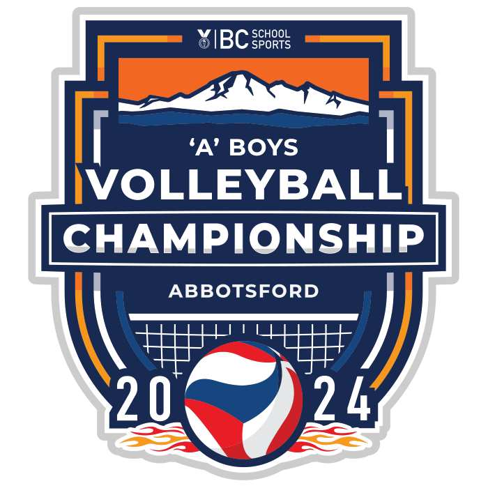 2024 1A Boys Volleyball Pin