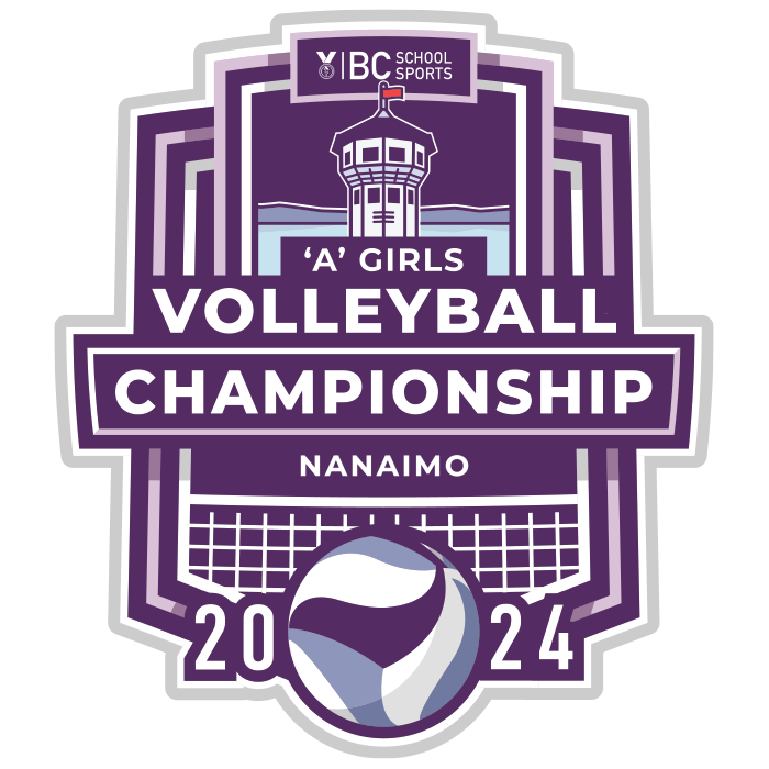 2024 1A Girls Volleyball Pin